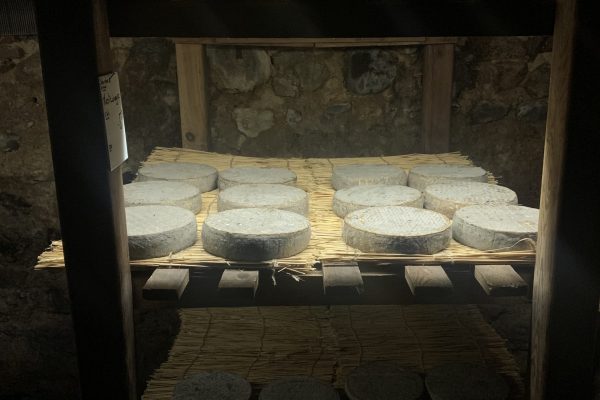 La maison du fromage a Saint-Nectaire